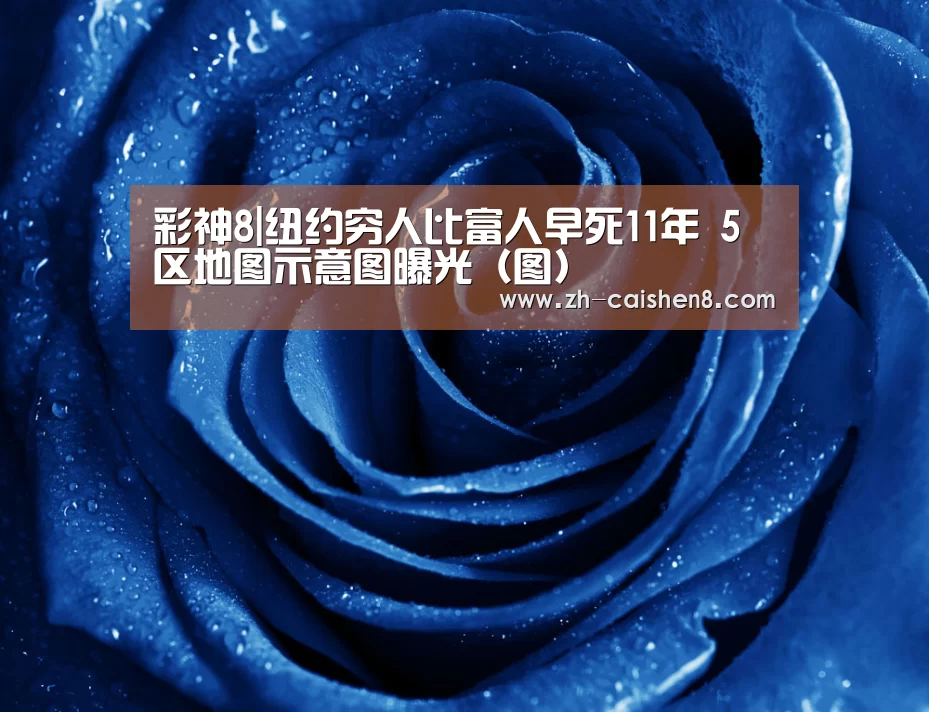 彩神8|纽约穷人比富人早死11年 5区地图示意图曝光(图)(图1) 彩神8