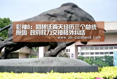 彩神8:阿根廷两天经历三个总统原因 政府权力交接格外纠结(图2) 彩神8