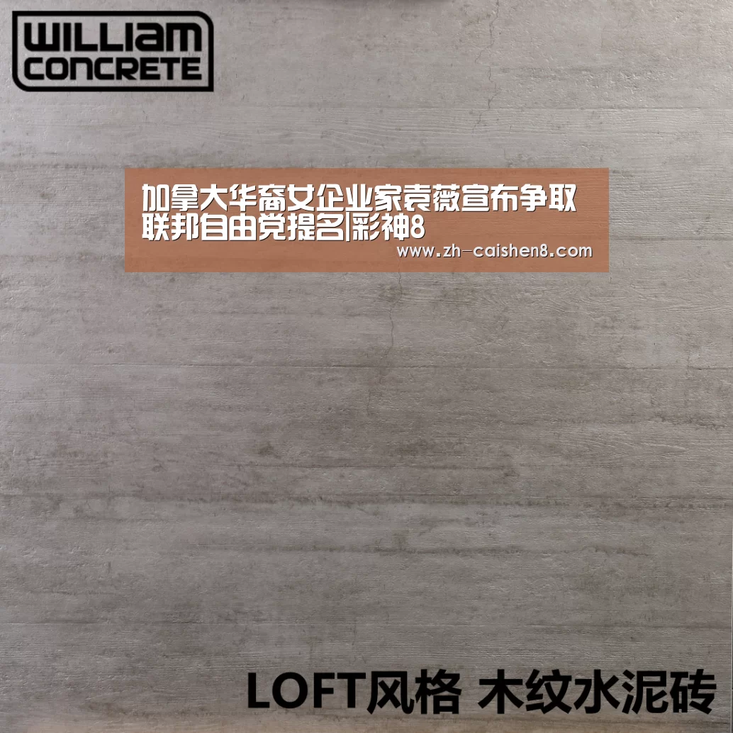 加拿大华裔女企业家袁薇宣布争取联邦自由党提名|彩神8(图3) 彩神8